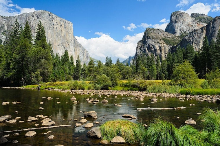 Yosemite Mayhem Has Bay Area Hikers Dodging Gridlock And Rattlesnakes