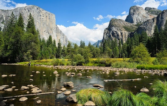 Yosemite Mayhem Has Bay Area Hikers Dodging Gridlock And Rattlesnakes