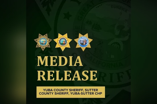 Yuba County Wild Chase Ends In Gunfire, K-9 Takedown In Woods