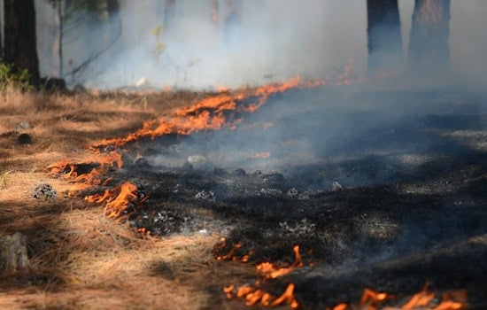 Zot Fire Erupts On Remote Forest Service Land In Siskiyou County