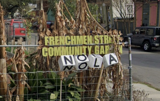 7th Ward Garden Showdown As Neighbors Blast Bargain Sale By Politician-Realtor