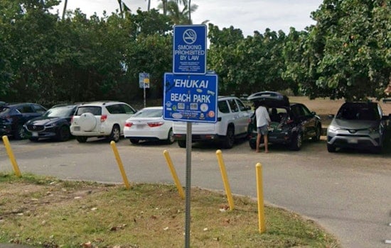 Aggressive Sharks Clear Lineup At Pipeline On Oahu’s North Shore