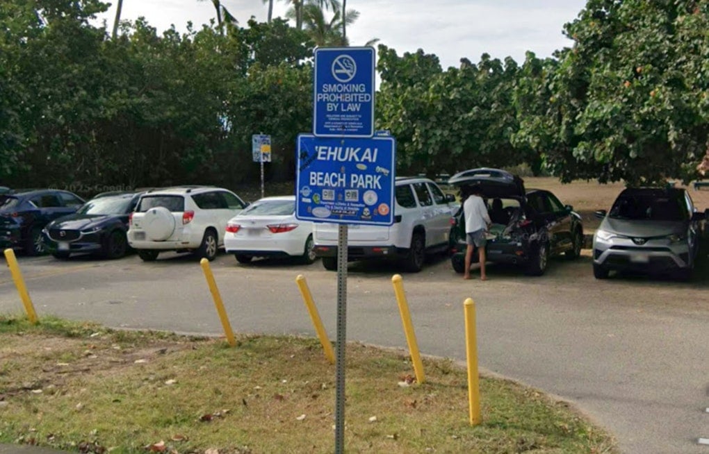 Aggressive Sharks Clear Lineup At Pipeline On Oahu’s North Shore