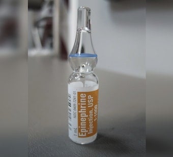 Albany’s Epinephrine Ultimatum For New York Daycares