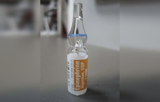 Albany’s Epinephrine Ultimatum For New York Daycares