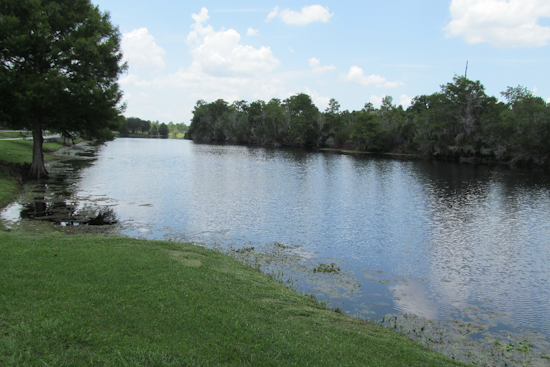 Alligator Bite Hospitalizes Woman Near Geneva River