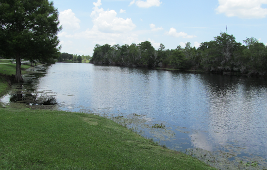 Alligator Bite Hospitalizes Woman Near Geneva River