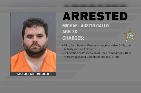 Apollo Beach Rocked as Deputies Haul Away 160 Devices in Child Porn Bust