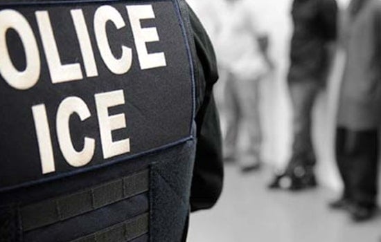 Cardboard Shocker Rattles Arbor Heights Over Claimed ICE Arrest
