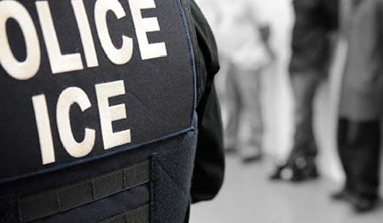 Cardboard Shocker Rattles Arbor Heights Over Claimed ICE Arrest