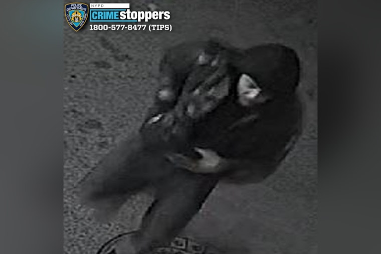 Armed Duo Jack Parked Hyundai in East New York, Cops Say