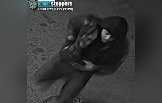 Armed Duo Jack Parked Hyundai in East New York, Cops Say