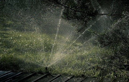 Arvada Couple Bets on High-Tech Sprinklers as Wildfire Fears Sweep Front Range