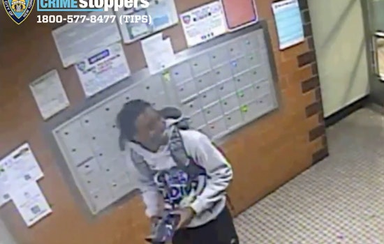 Astoria Ferry Hub Beatdown: Thieves Jump 25-Year-Old, Swipe His Smartwatch