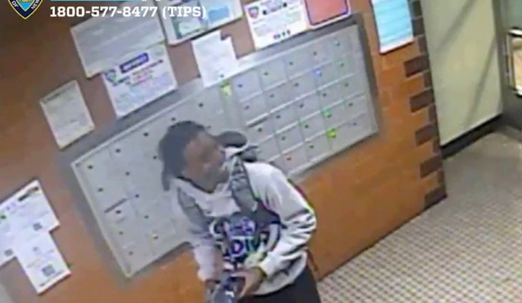 Astoria Ferry Hub Beatdown: Thieves Jump 25-Year-Old, Swipe His Smartwatch