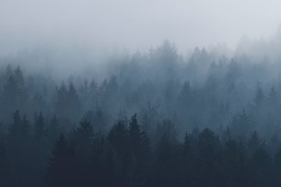 Atlanta Wakes In A Fog As Steamy Week Bears Down On Metro