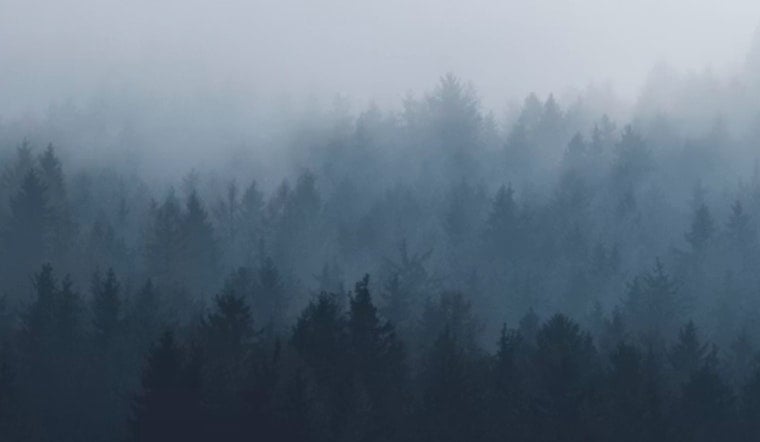 Atlanta Wakes In A Fog As Steamy Week Bears Down On Metro