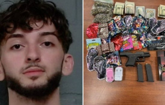 Auburn Gresham Traffic Stop Nets Gun, Magic Mushrooms And $10K, Cops Say