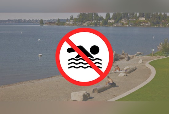 Bacteria Scare Sinks Swimming At Bellevue’s Meydenbauer Bay Through July 1