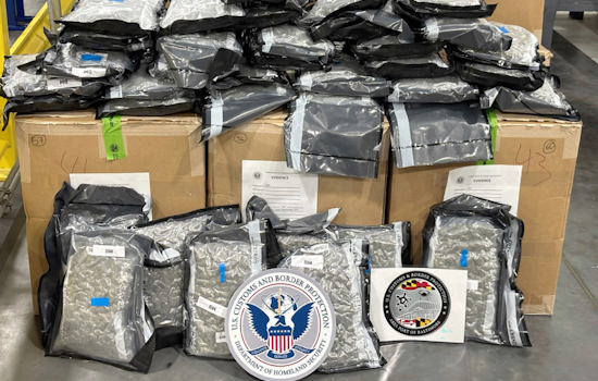 Baltimore Bust Nabs 5 Tons of Pot Headed for Liverpool