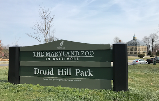 Druid Hill Set To Sizzle As Baltimore Carnival Takes Over July 10–12