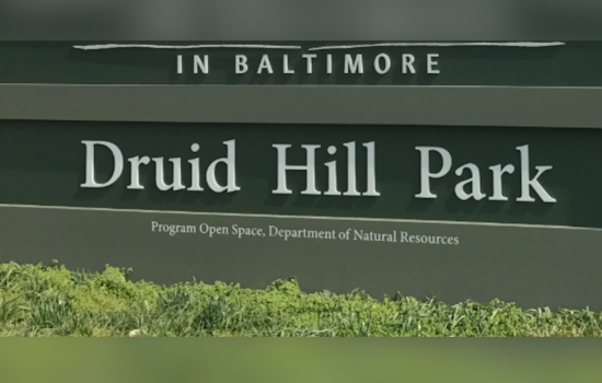 Baltimore Pride Block Party Heads For Druid Hill Park