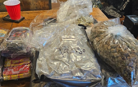 Baltimore Seizes 73 Pounds Of Illegal Cannabis