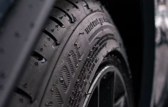 Baltimore Tire Slashers Turn Quiet Canton Night Into Costly Wake-Up Call