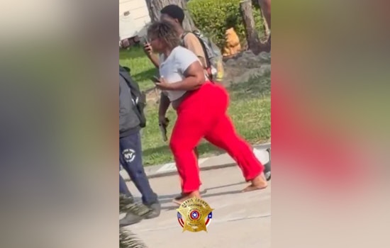 Barefoot Gun Drama In Cypress As Constables Hunt Mystery Woman