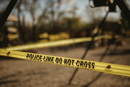 Bear Struck Dead on Reed Creek Highway as Hart County Cops Sound Wildlife Alarm