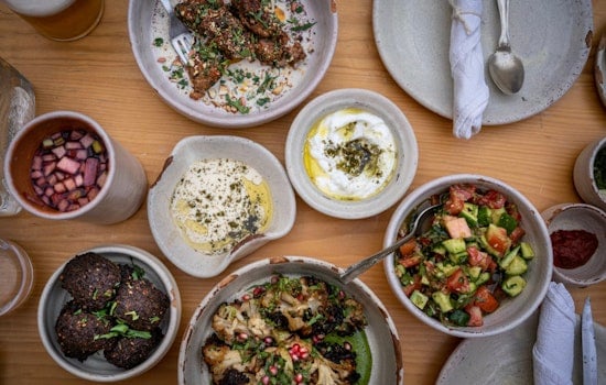 Beloved Seven Seas Diner Out, Novah Bets Big on Great Neck’s Toughest Corner