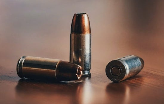 Berea Bedroom Stunner: Bullet Blasts Through Wall on Sonora Court