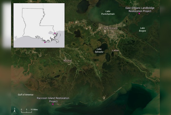 Big-Money Marsh Makeover Aims to Beef Up New Orleans Storm Buffer