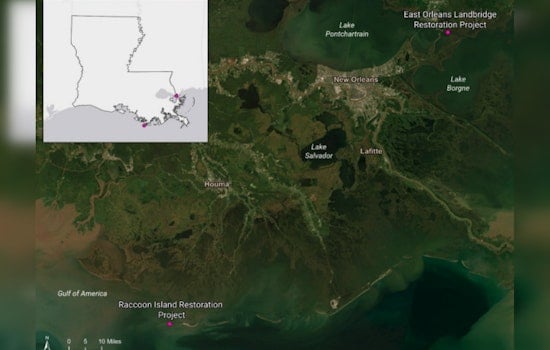 Big-Money Marsh Makeover Aims to Beef Up New Orleans Storm Buffer