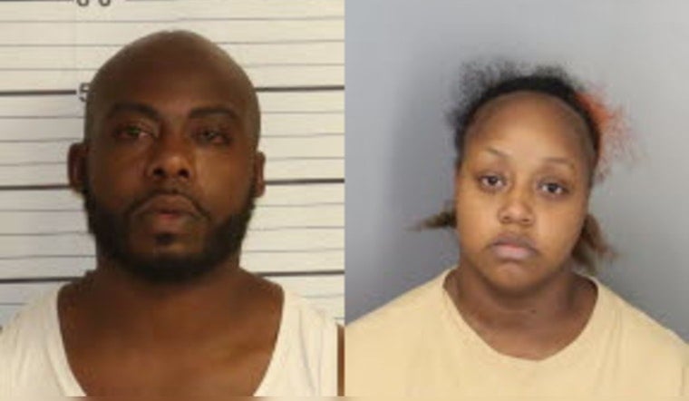 Binghampton ‘House Of Horrors’ Bust After Shelter Dogs Found Dead, Starving