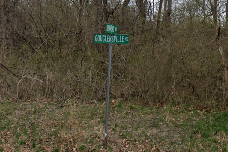 Black Bear Spotted in Cumru Township, Berks County