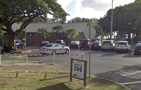 Blangiardi Taps D.C. Wildlife Power Player To Run Honolulu Zoo