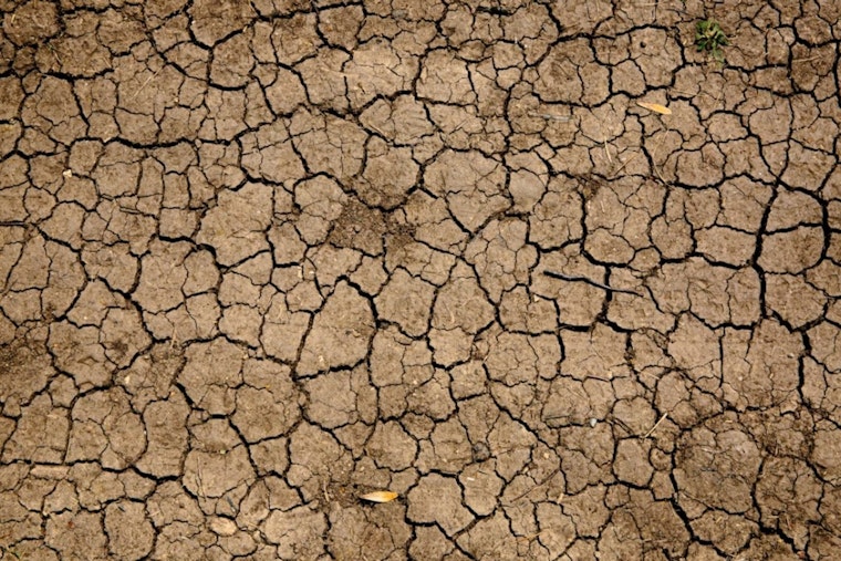 Bone-Dry Wells Push Navajo Nation Into Emergency