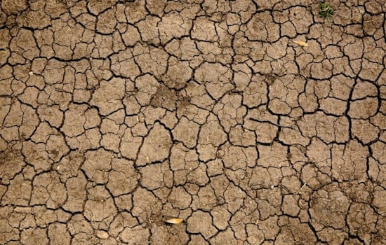 Bone-Dry Wells Push Navajo Nation Into Emergency