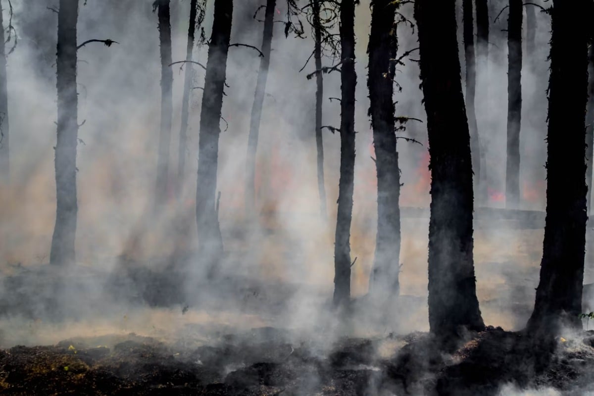 Border 5 Blaze Ignites In San Diego County With No Containment Posted