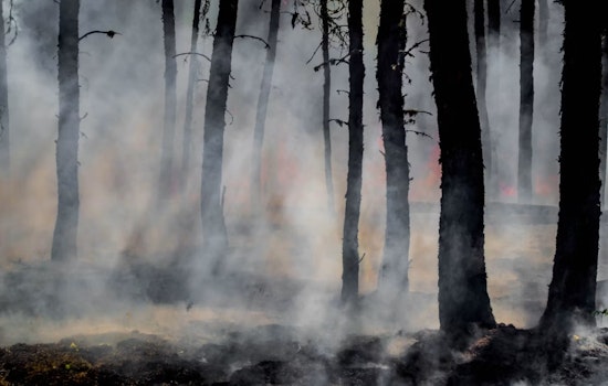 Border 5 Blaze Ignites In San Diego County With No Containment Posted