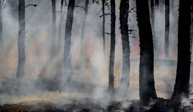 Border 5 Blaze Ignites In San Diego County With No Containment Posted