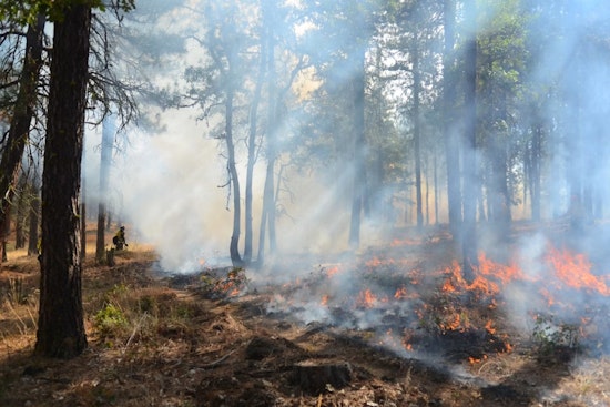 Border Brush Blaze Jumps From Tijuana Into San Diego's Marron Valley