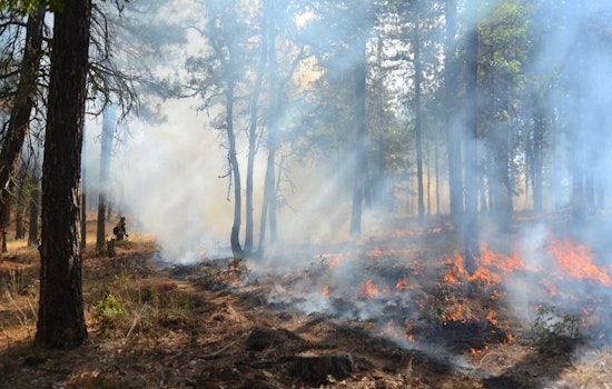 Border Brush Blaze Jumps From Tijuana Into San Diego's Marron Valley