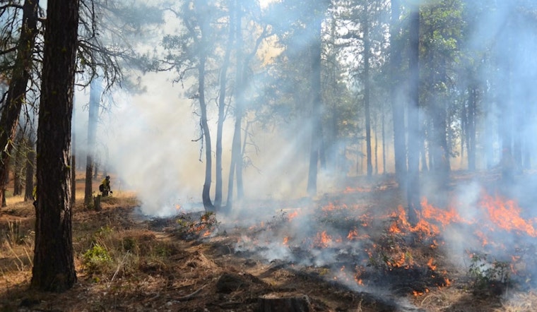 Border Brush Blaze Jumps From Tijuana Into San Diego's Marron Valley