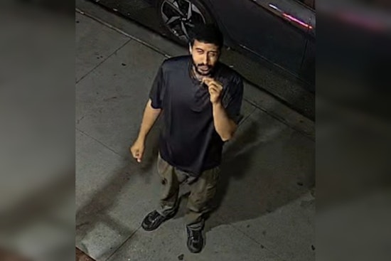 Box Cutter Attacker Chases Bleeding Man Through Washington Square Park