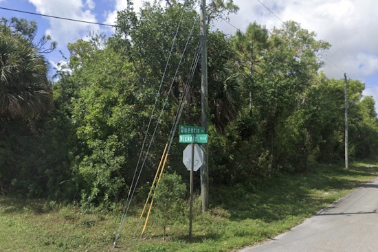 Boynton Beach Forest Showdown As Neighbors Battle 72-Townhome Plan