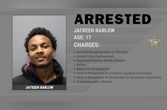 Brandon Teen Busted In Gunpoint Attack On Girlfriend, Deputies Say