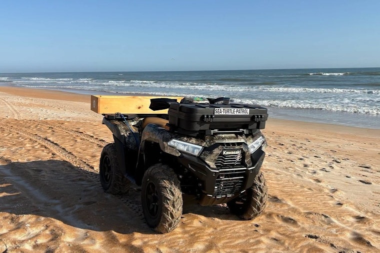 Brazen Beach Heist: Thief Swipes Turtle Patrol ATV As Nesting Season Peaks