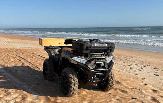 Brazen Beach Heist: Thief Swipes Turtle Patrol ATV As Nesting Season Peaks